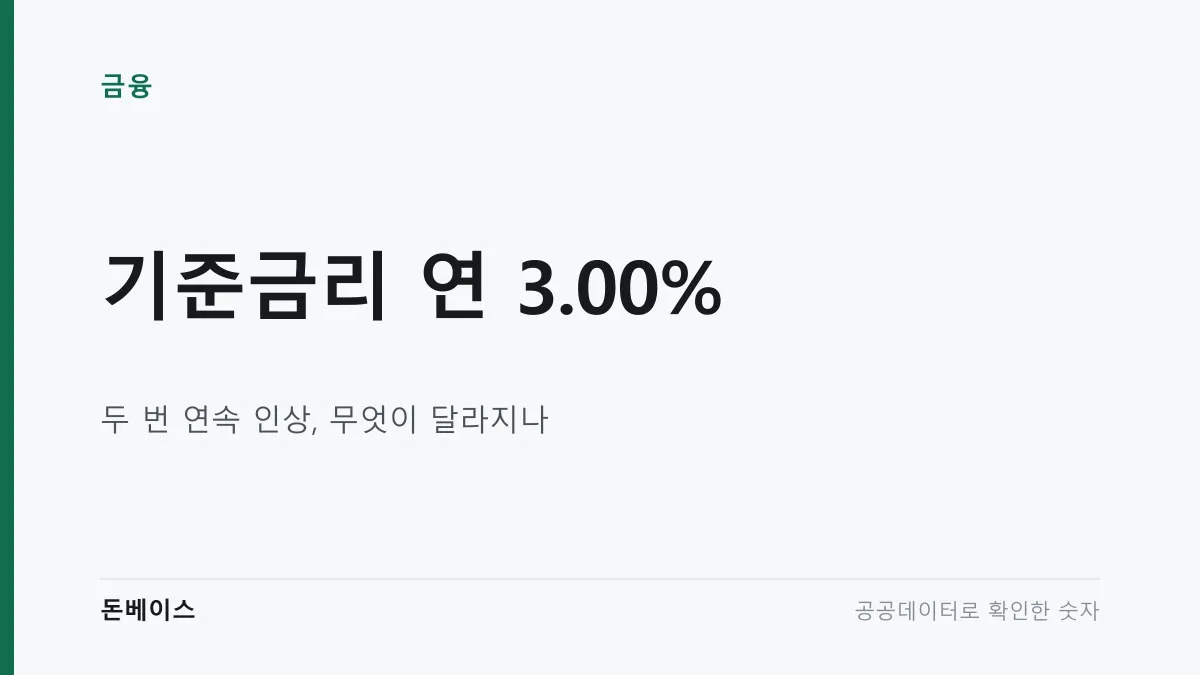 흰 바탕에 '기준금리 연 3.00%'와 '두 번 연속 인상, 무엇이 달라지나'라는 문구가 적힌 표지 이미지