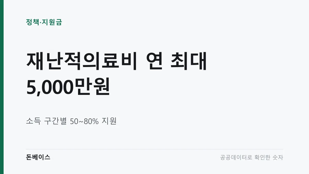 '재난적의료비 연 최대 5,000만원'과 '소득 구간별 50~80% 지원'이라는 문구가 적힌 표지 이미지