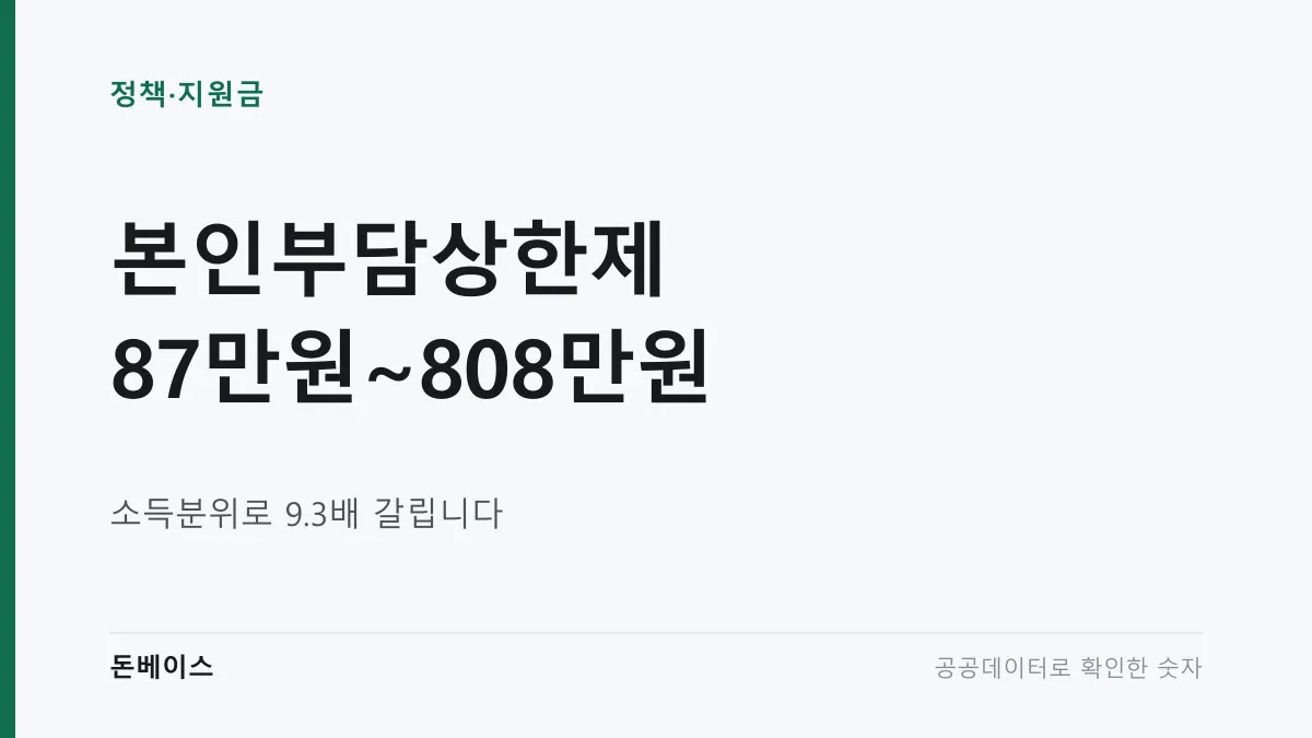 '본인부담상한제 87만원~808만원'과 '소득분위로 9.3배 갈립니다'라는 문구가 적힌 표지 이미지